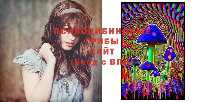 где продают наркотики  OMG онион  Псилоцибиновые грибы Cubensis  Слюдянка 